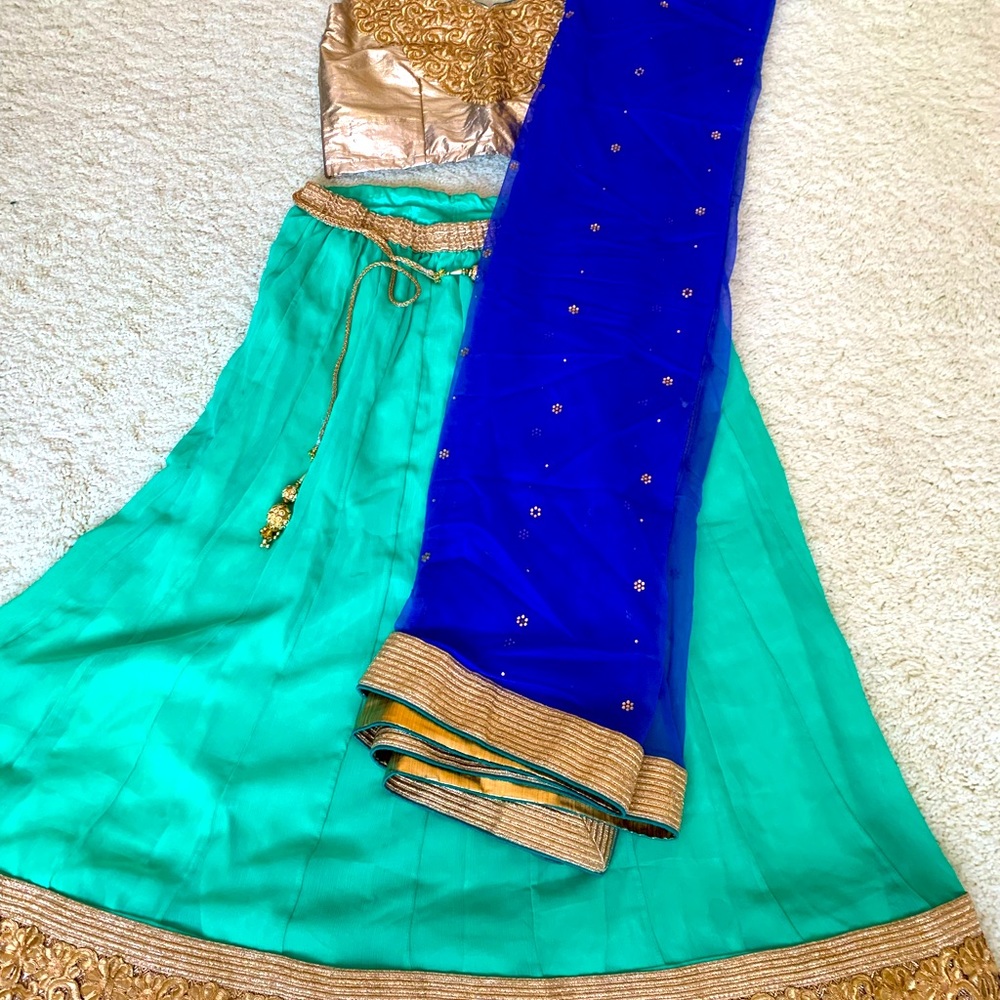 Beautiful green and blue georgette lehengha with net chunni